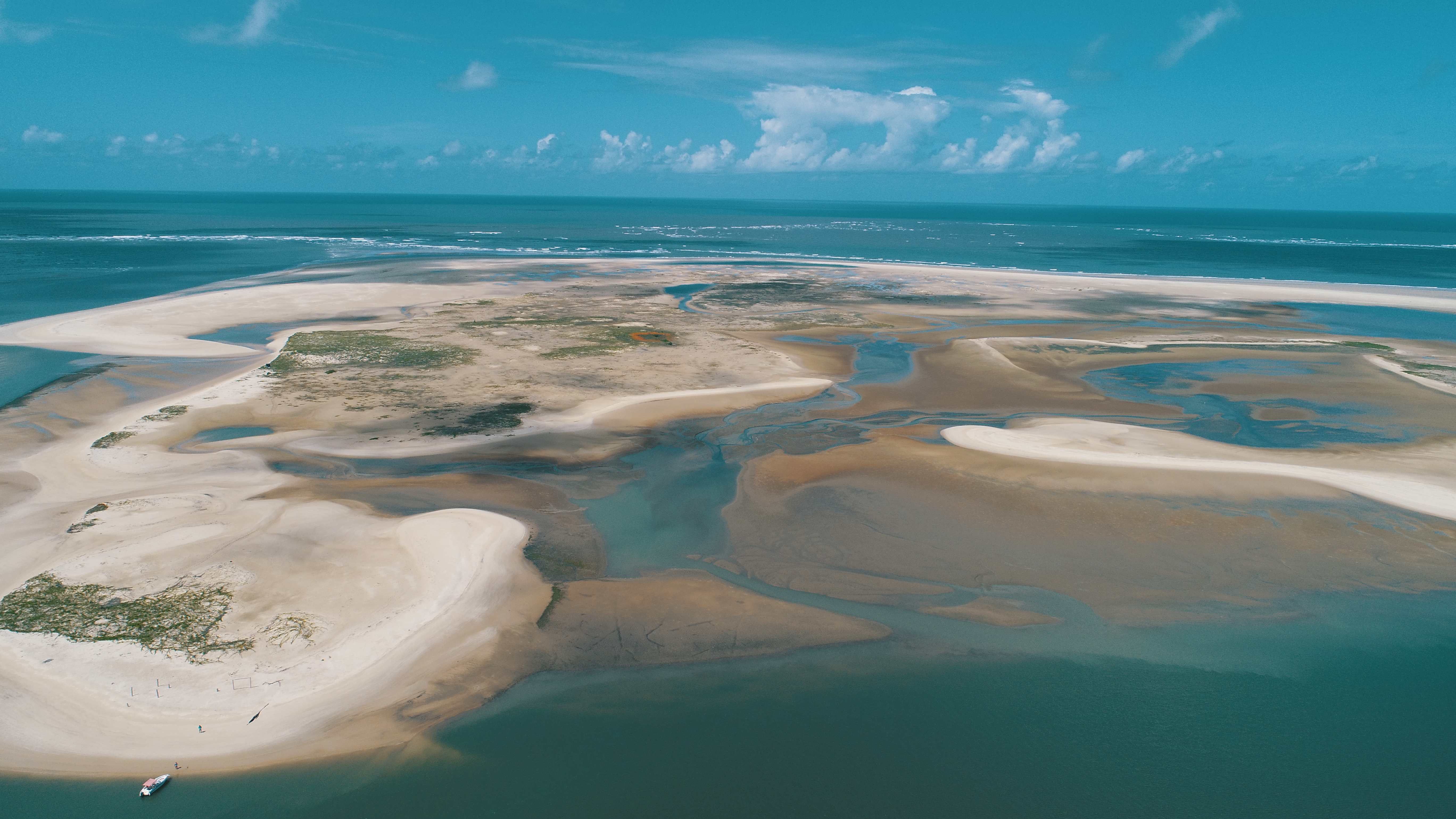 Rota do Peixe-Boi-Marinho: nasce a iniciativa de turismo sustentável da FMA